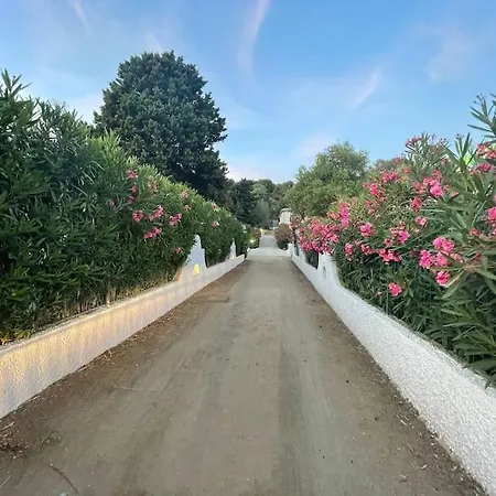 Indipendente Simius 빌라시미우스