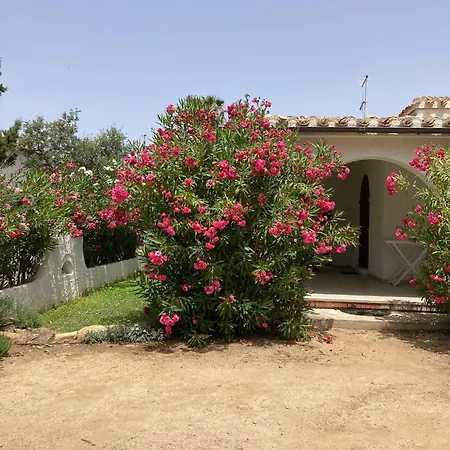 Indipendente Simius 펜션 *