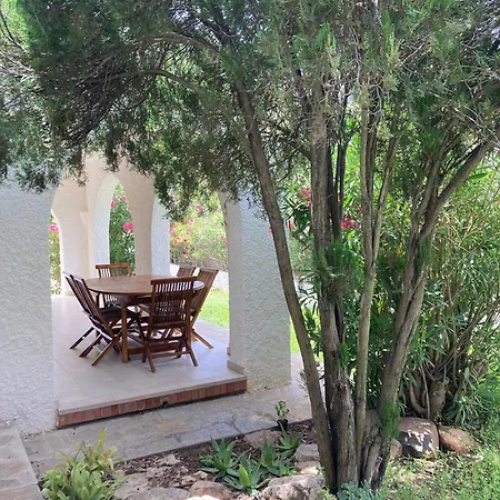 Indipendente Simius *