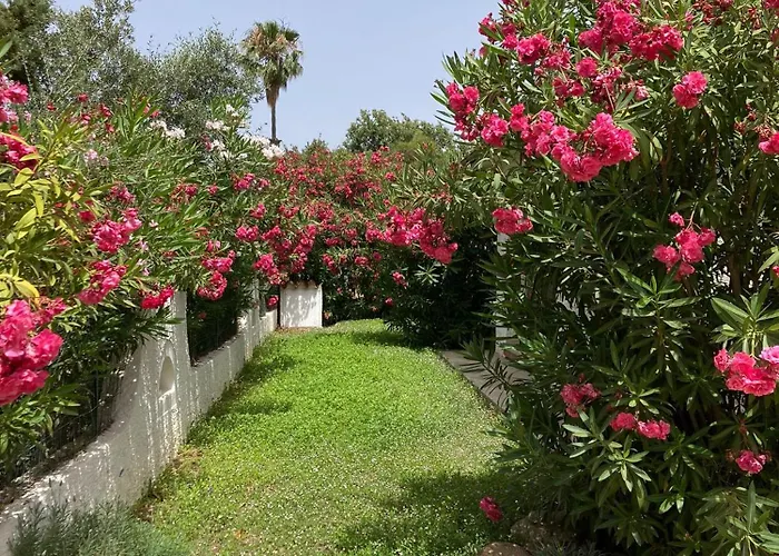 Сasa de vacaciones Indipendente Simius