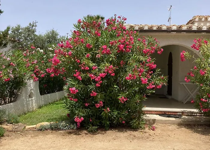 Indipendente Simius Сasa de vacaciones *